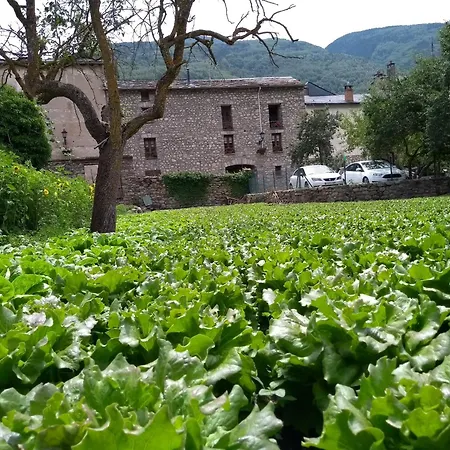 Chalet Borda Pinana Anciles