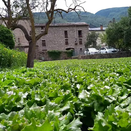 Chalet Borda Pinana Anciles