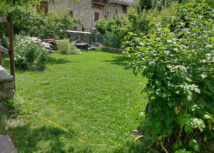 Borda Pinana * Anciles